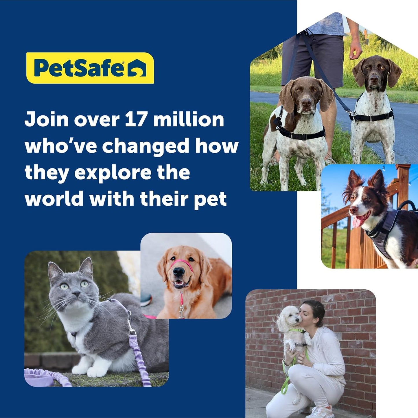 PetSafe 3 in 1 Dog Harness - No Pull Solution for Dogs - Reflective Dog Harness - Front D-Ring Clip Helps Stop Pulling - Comfortable Padded Straps - Top Handle Enhances Control - Black - Medium