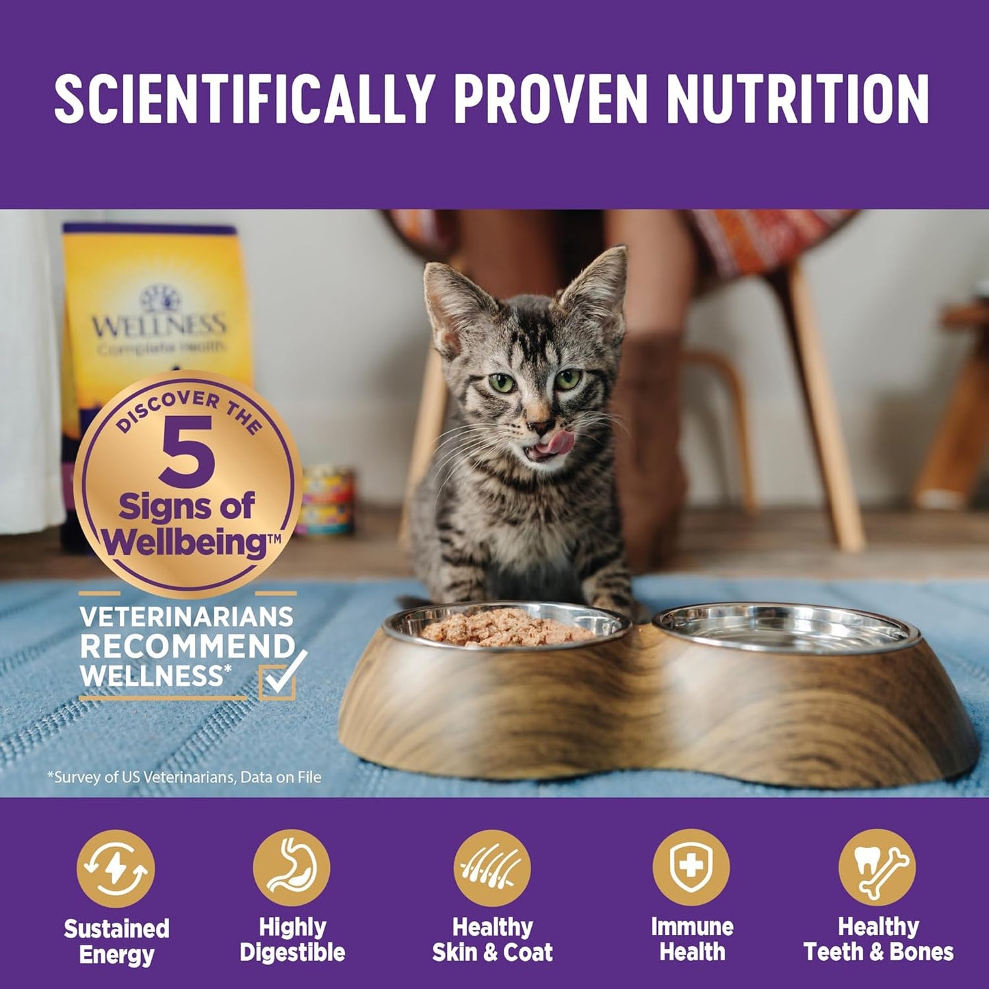 Wellness Complete Health Pate Kitten Wet Cat Food, Natural, Protein-Rich, Grain Free, 3 Ounce, 12 Pack, (Whitefish & Chicken Variety Pack)