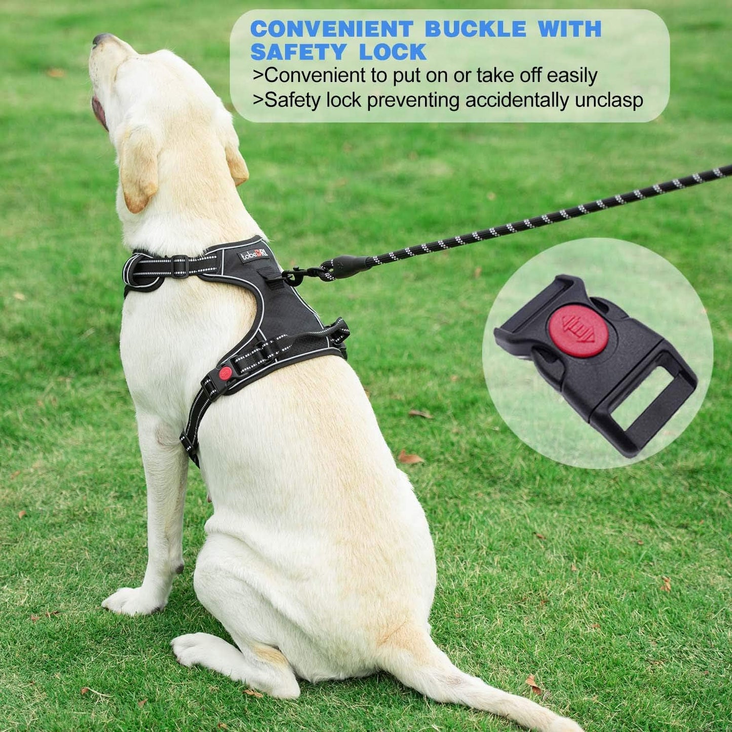 No Pull Dog Harness Adjustable Reflective Oxford Easy Control Medium Large Dog Harness with A Free Heavy Duty 5ft Dog Leash (M (Neck: 14.5"-20.5", Chest: 22"-28"), Purple Harness+Leash)