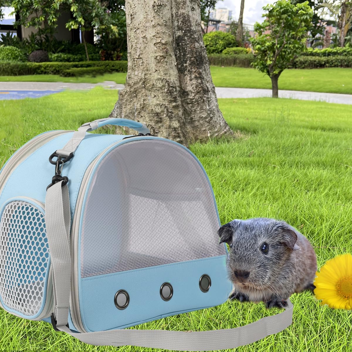 Ventilation Carrier for Bearded Dragons, Guinea Pigs, Reptiles & Small Pets - Airline Approved Mesh Carrier (Blue)