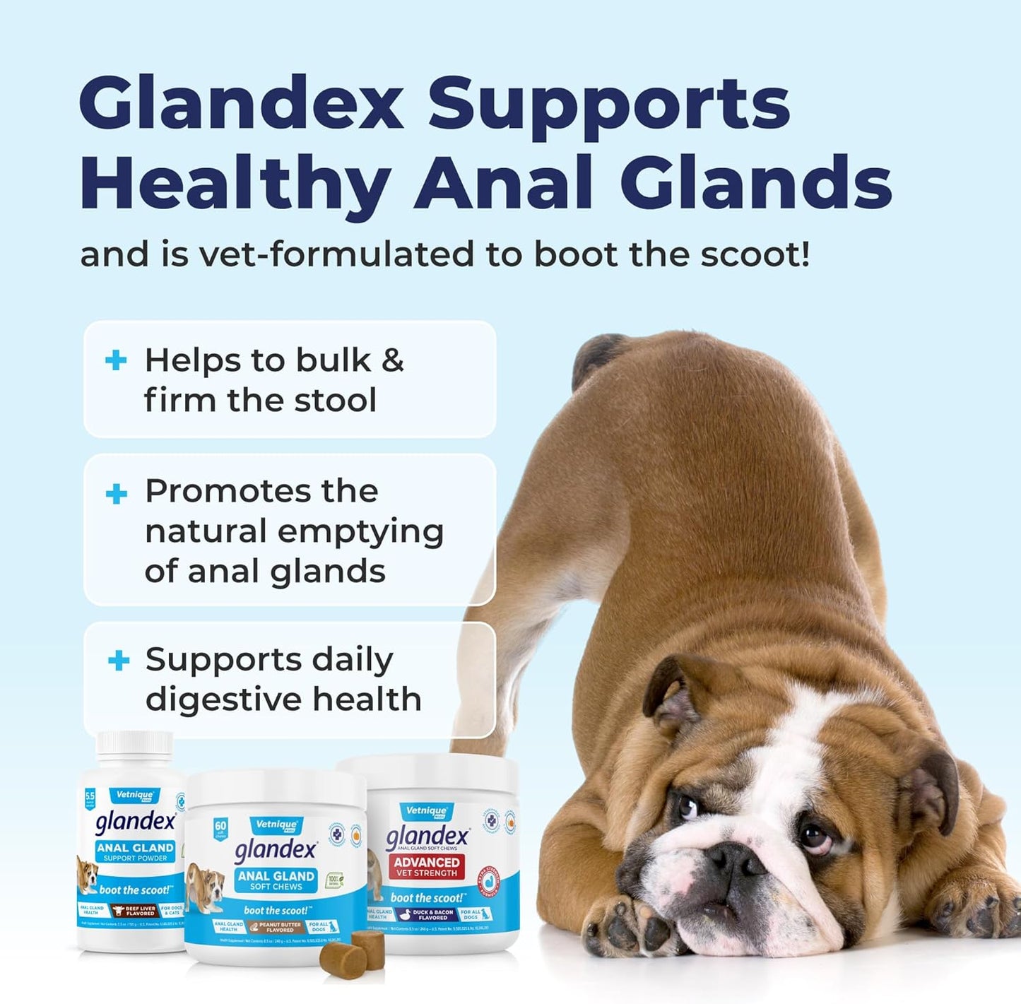 Vetnique Glandex Anal Gland Soft Chew Treats with Pumpkin for Dogs Digestive Enzymes, Probiotics Fiber Supplement for Dogs Boot The Scoot (Advanced Strength Duck/Bacon Chews (Veg), 30 Count)