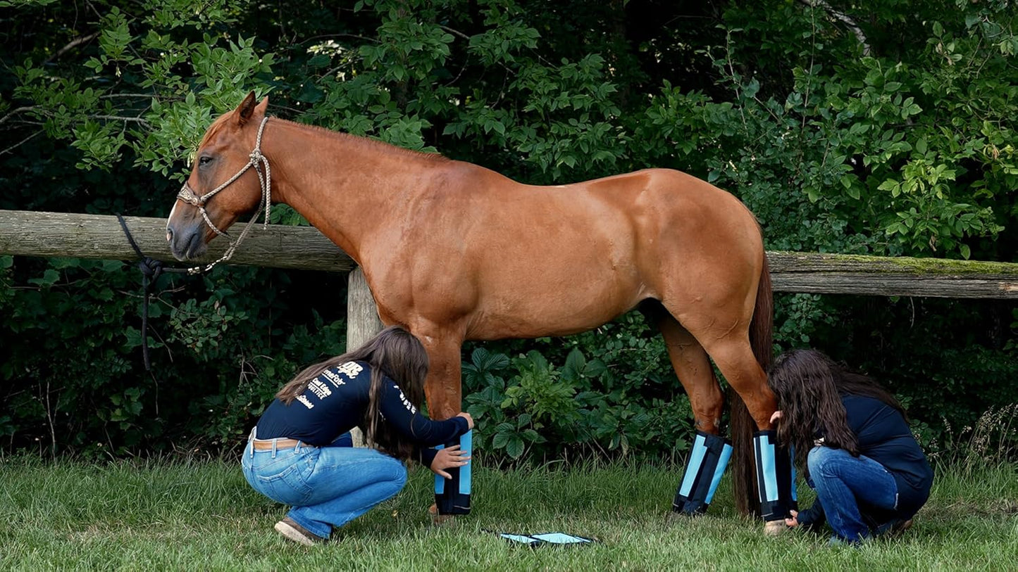 Warrior Fly Boots for Horses - Breathable Mesh Horse Boots for Fly Protection & Leg Comfort - Set of 4 (Knight Warrior, Red)