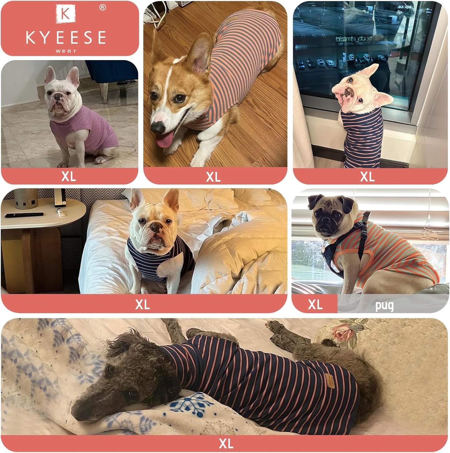 KYEESE 2Pack Dog Sweater Warm Dogs Clothes Stretchy Dachshund Clothes Soft Pets Coats Turtleneck Pet Sweatshirt Turtleneck Dog Sweaters for Small Dogs Girl