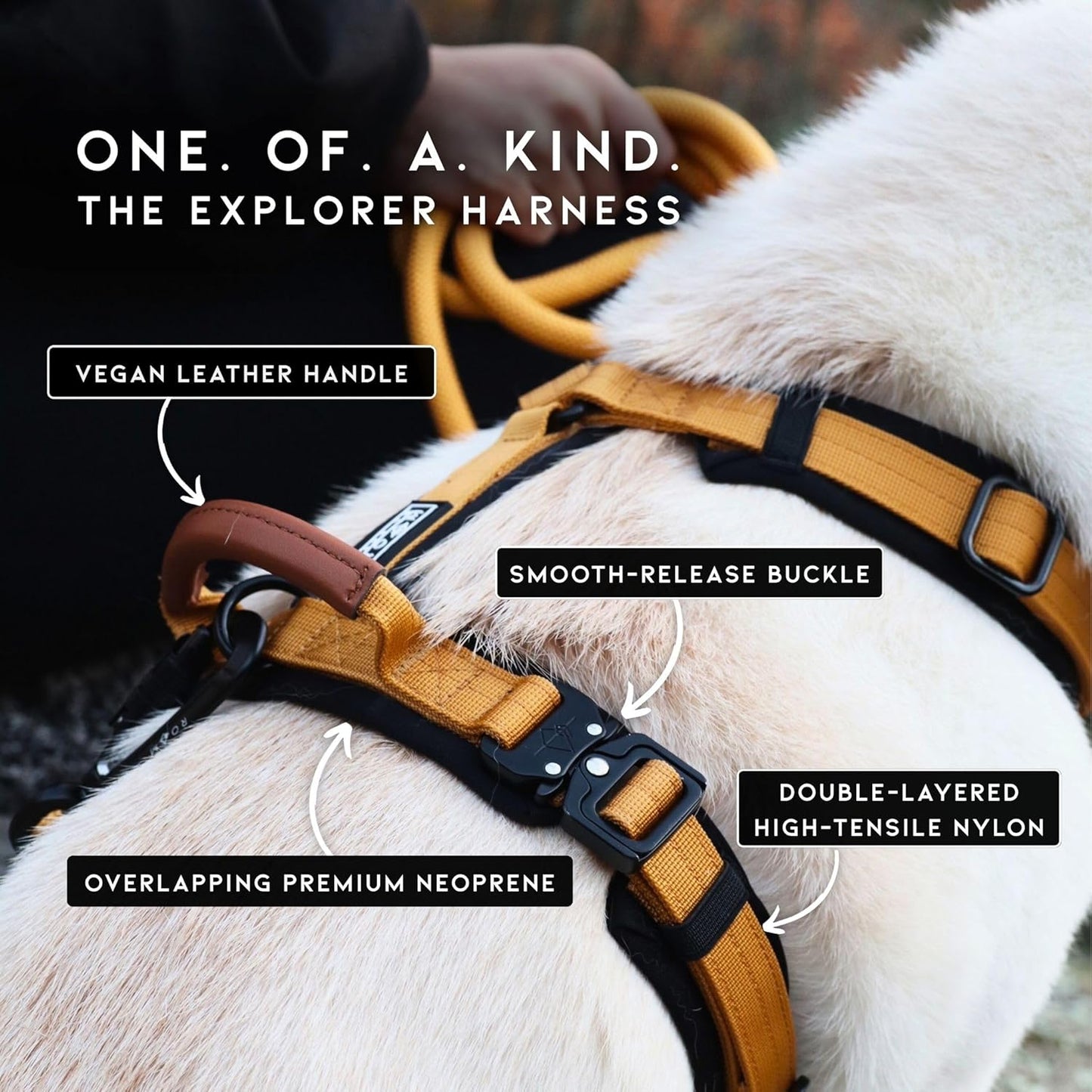 MADE TO ROAM Premium Explorer Harness - Y-Shaped Dog Harness with Adjustable Durable Nylon, Soft Padding, Metal Buckles and Leather Handle for Small, Medium, Large Dogs (Montana Moonrise, Size 1)