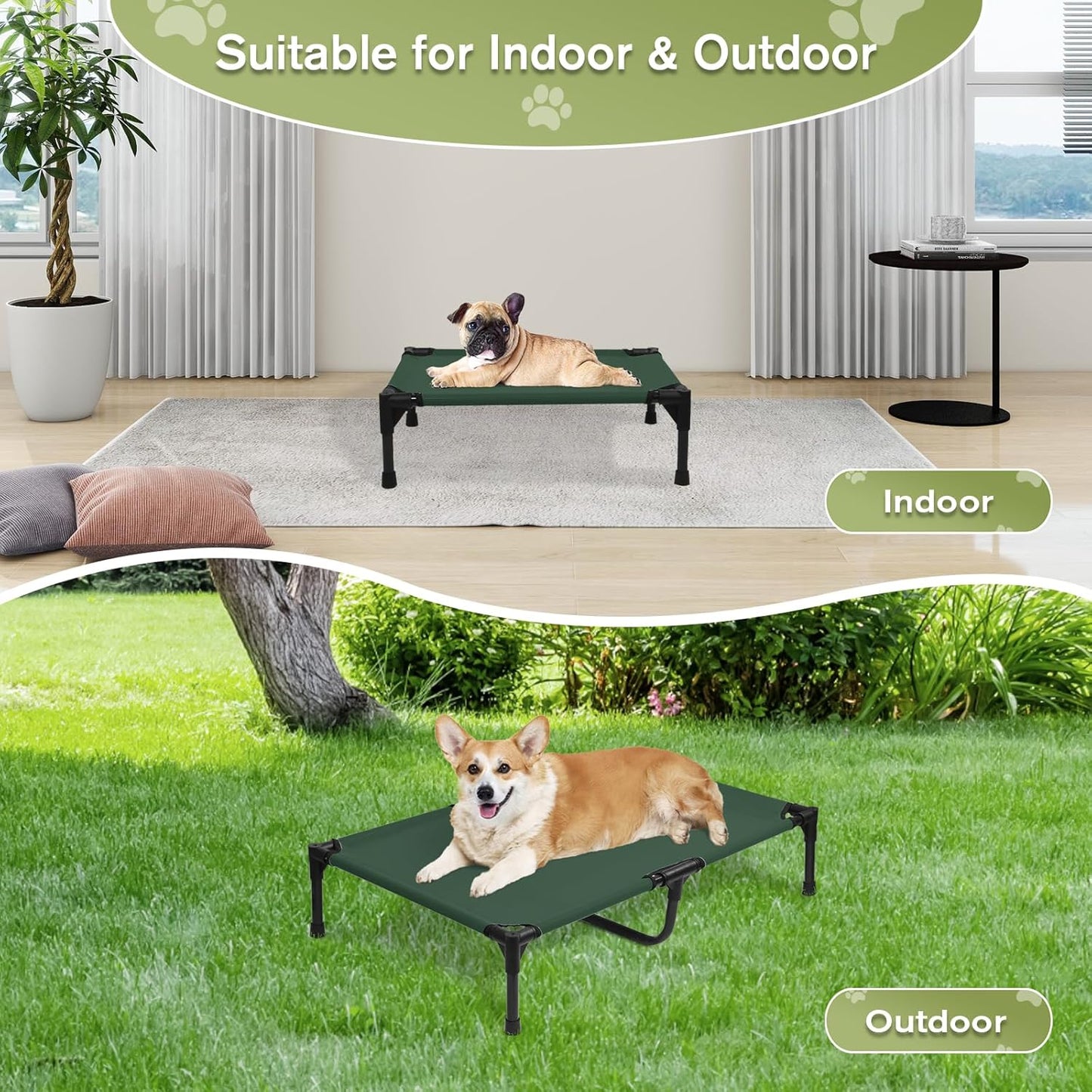 Small Elevated Dog Bed 22 Inch - Puppy Cooling Cot with Removable Washable Breathable Mesh, Raised Dog Cots Beds for Indoor and Outdoor, Green