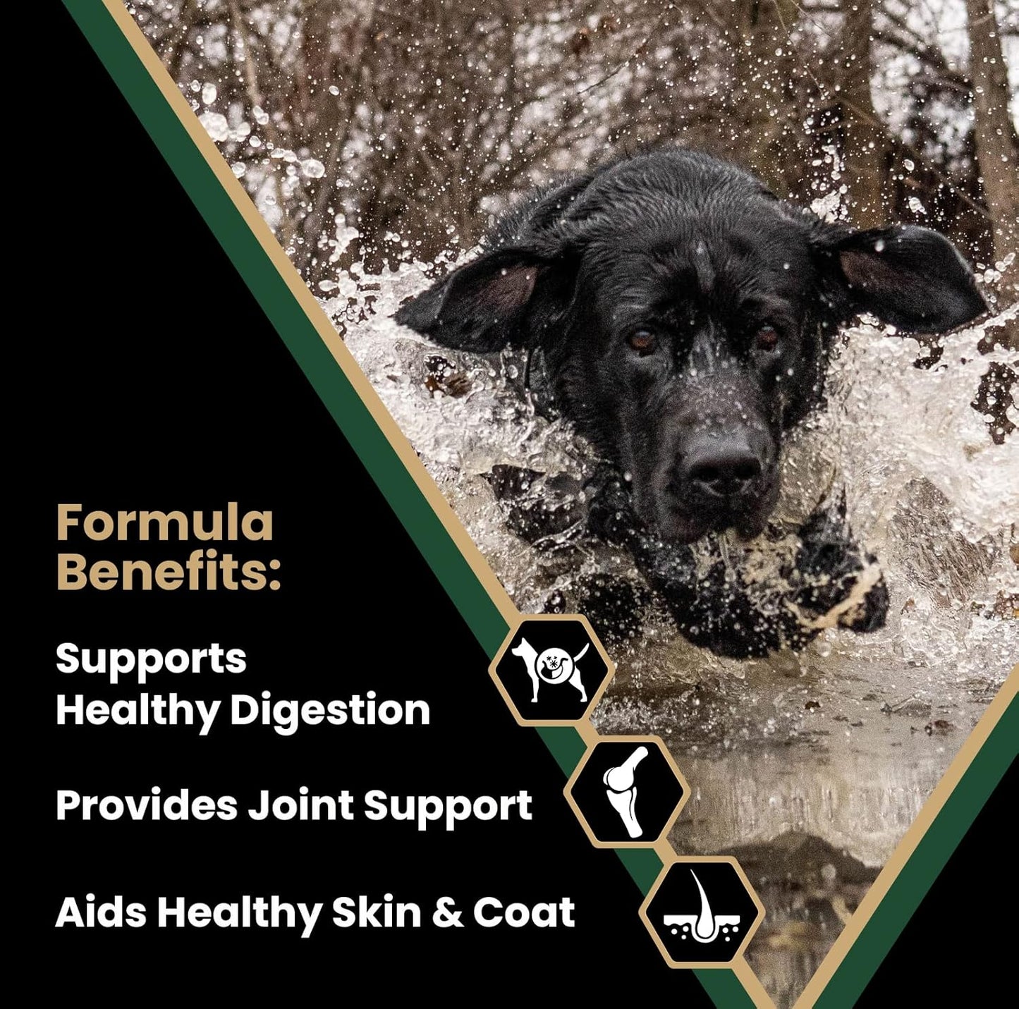 VICTOR Super Premium Dog Food – Performance Dry Dog Food from Beef, Chicken and Pork Meal – 26% Protein for Active Adult Dogs – Includes Glucosamine and Chondroitin for Hip and Joint Health, 5lbs
