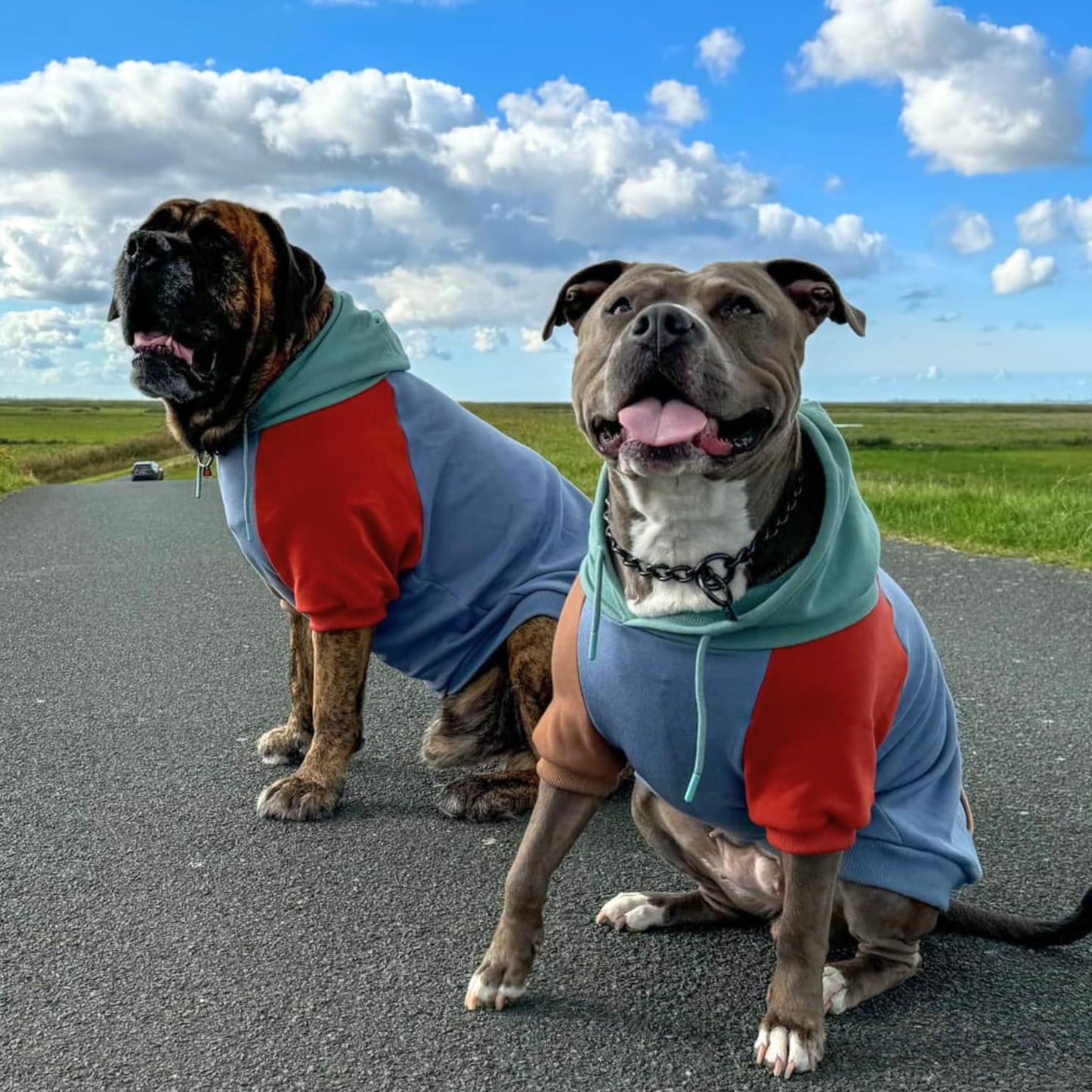 Spark Paws Dog Hoodie – Premium Dog Sweater for Small, Medium, and Large Dogs | Warm Outfits for French Bulldogs, Pitbull, Puppy, Winter Jacket Alternative - Alpine - 5XL