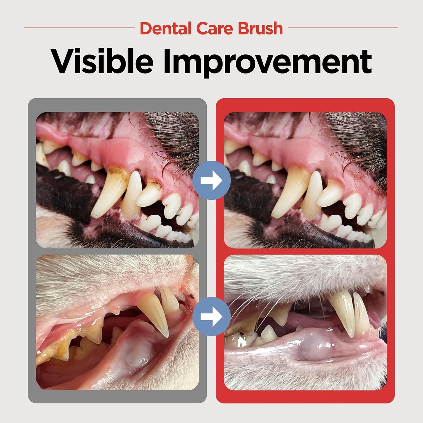 JAYU PET Dental Care Brush (Soft Bristles) 3ea - Dog Toothbrush, Cat Toothbrush, Dental Care for Kitten and Small Dogs, Removing Old Plaque and Tartar, Cat Teeth Brushing & Easy Cleaning