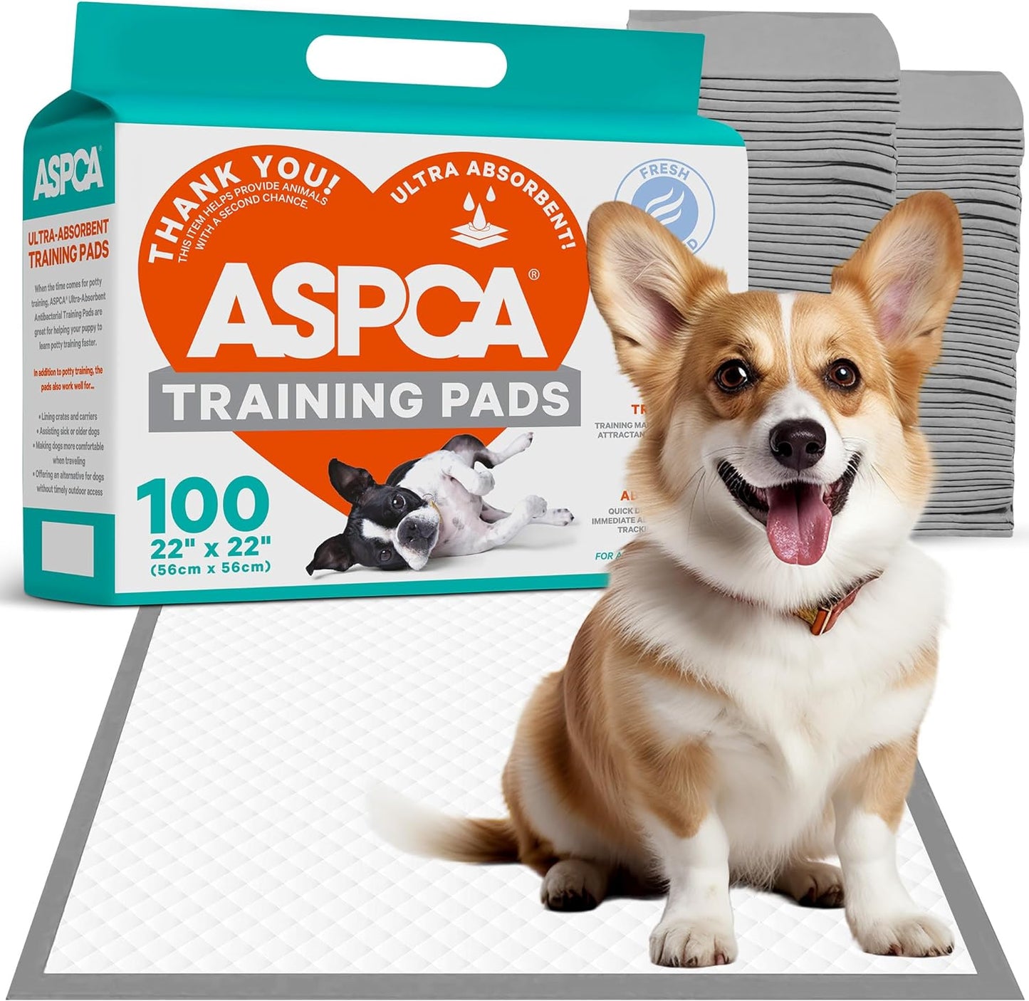AS62930 Dog Training Pads, Pack of 100, Gray, 22" x 22" - Pack of 100