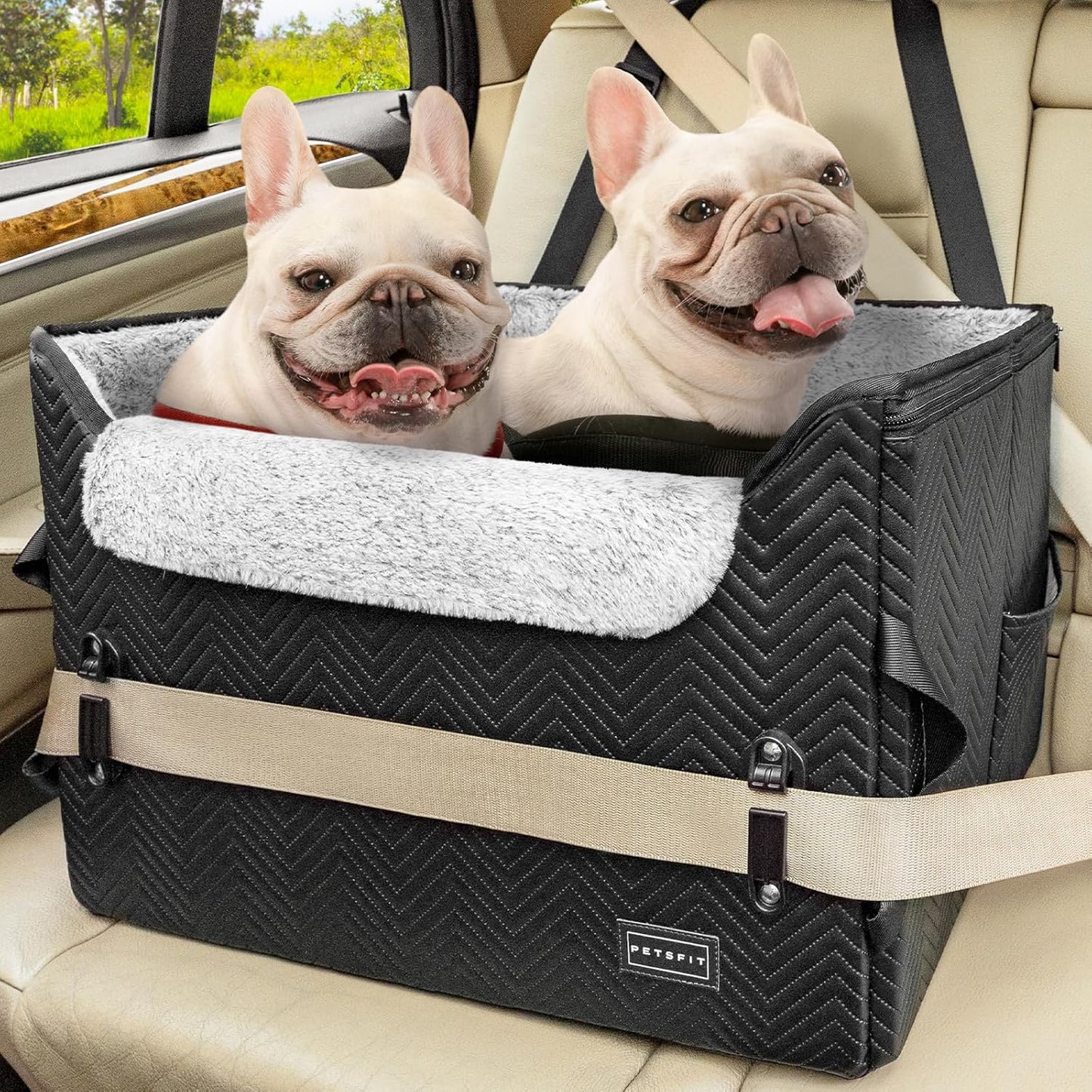 PETSFIT Dog Car Seat Medium Sized Dog, Waterproof PU Leather Dog Seat for Car with Patented Safe Buckles, 2 Clip-On Safety Leashes, Suitable for 2 Small Dogs (Medium, Black)