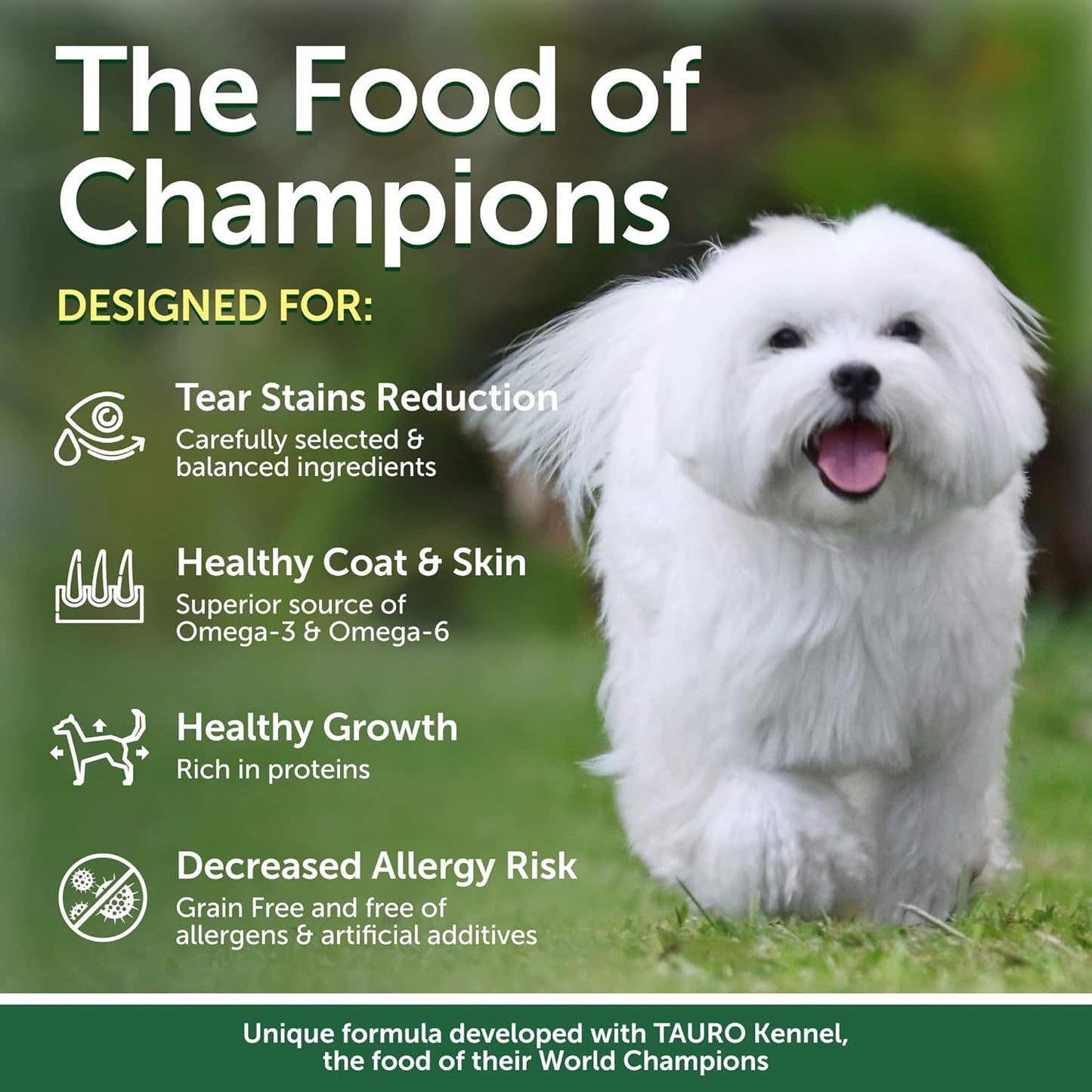 Nature's Protection Hypoallergenic Small Breed Dry Dog Food - High Protein, Grain Free Tear Stain Formula - Dog Kibble for Sensitive Stomachs for Adult Light Fur Dogs (Superior Care - Insect, 22 lb)