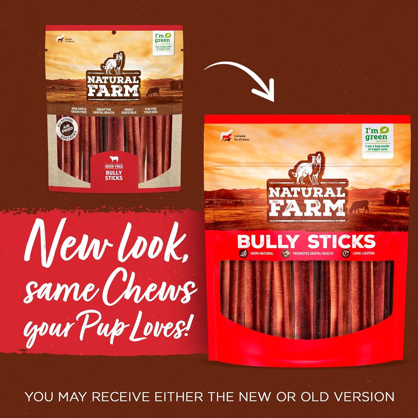 Natural Farm Odor-Free Thick Bully Sticks (12”, 5-Pack) All-Natural Long-Lasting Dog Chews, 100% Beef Pizzle, Grass-Fed, Grain-Free, Protein for Muscle Development & Energy, Perfect for Large Dogs