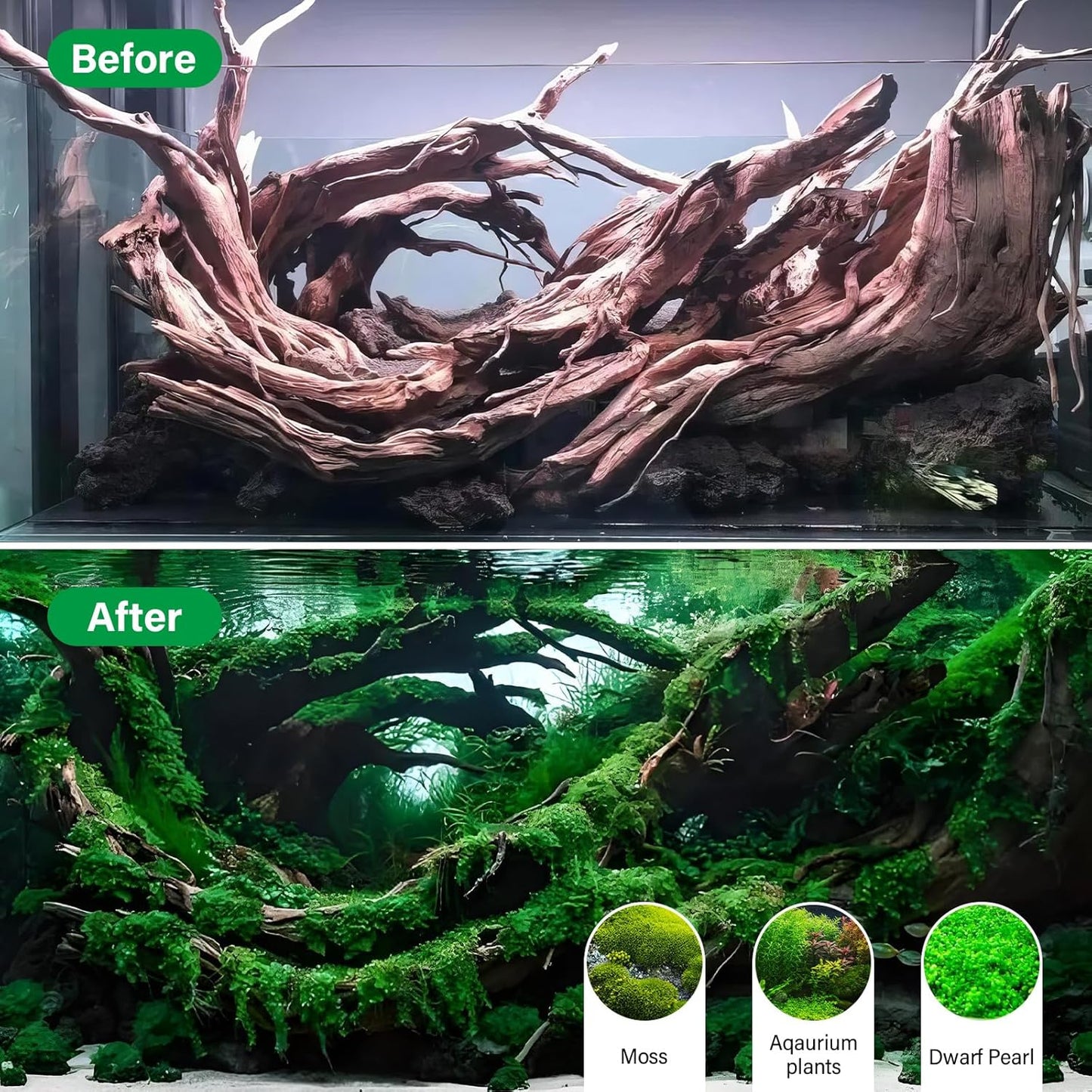 Driftwood for Aquarium Natural Aquarium Wood for Aquascaping Fish Tank Decorations Reptile Tank Decor (Natural Driftwood 9-14" (Pack of 2))