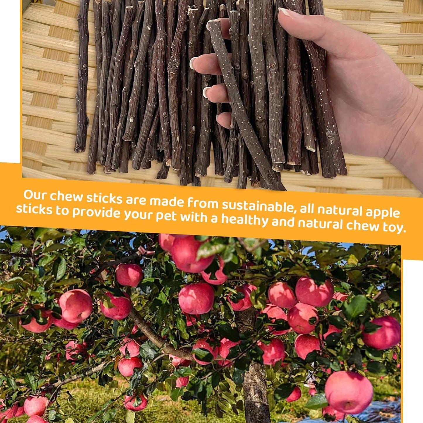 Apple Sticks 300g(0.7LB) Small Animals Wooden Pet Chew Treats Toys for Guinea Pigs Hamsters Rabbits Chinchillas Squirrels Small Animal Molar Wood Treats Toys