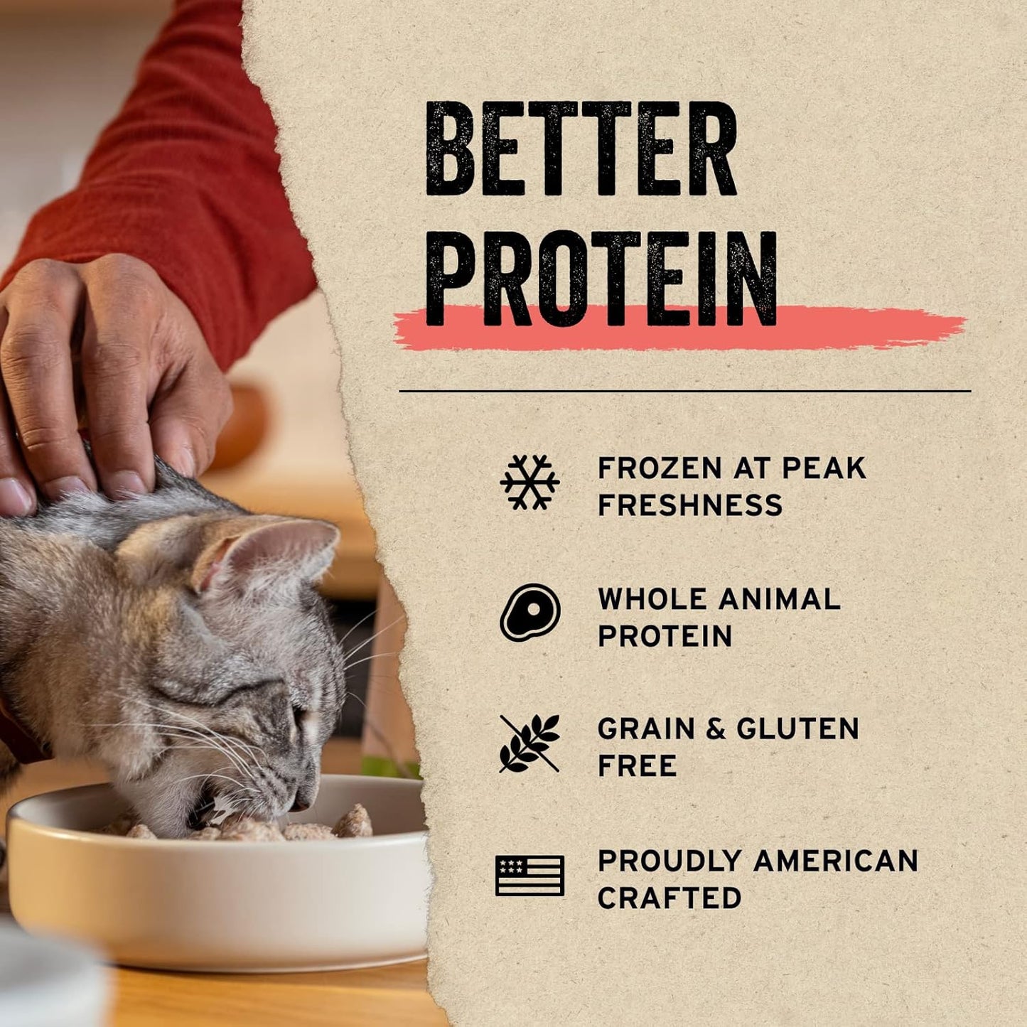 Vital Essentials Salmon Bites Cat Treats, 1.1 oz | Freeze-Dried Raw | Single Protein | Grain Free, Gluten Free, Filler Free