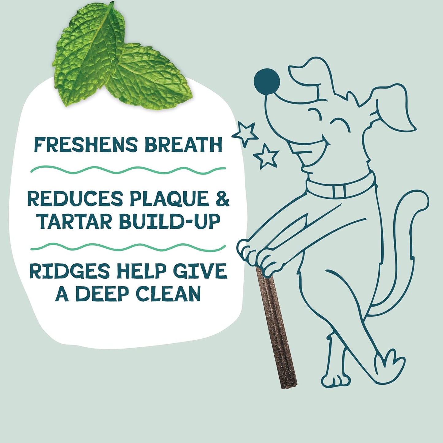 Shameless Pets Dental Treats for Dogs, Carrate Chomp - Healthy Dental Sticks with Skin & Coat Support for Teeth Cleaning & Fresh Breath - Dog Bones Chews Free from Grain, Corn & Soy