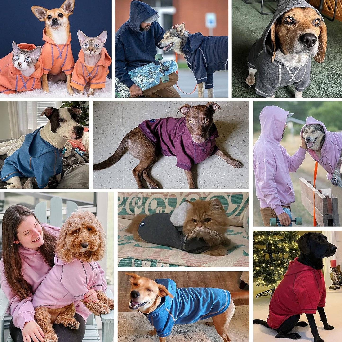Blueberry Pet Essentials Dog Hoodie – 10 inch, Cotton‑Blend Sweatshirt with Hood, Charcoal Grey, Machine‑Washable Small‑Dog Jersey