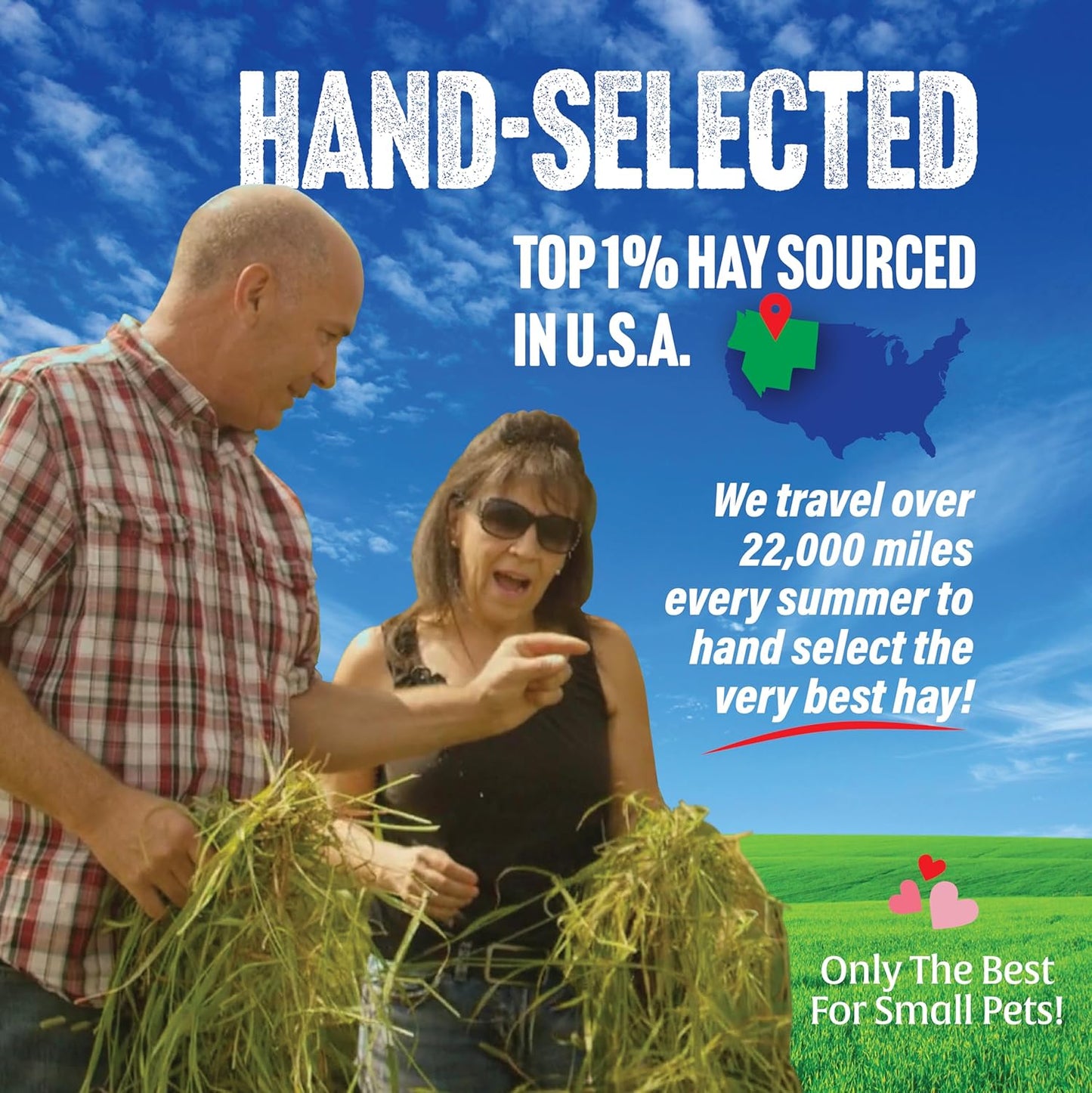 Small Pet Select Oat Hay Pet Food, 20 Lb.